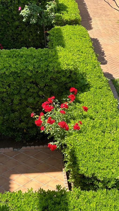 Apartamento La Rosaleda 17 Dénia Exterior foto