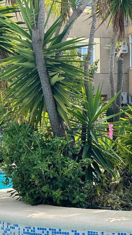 Apartamento La Rosaleda 17 Dénia Exterior foto