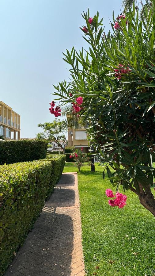 Apartamento La Rosaleda 17 Dénia Exterior foto